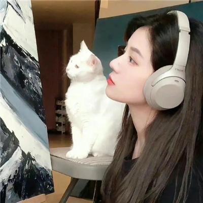 全面进化